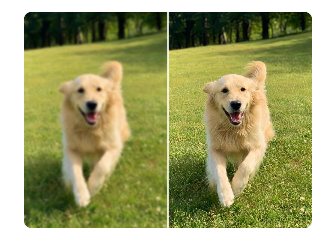 Miglioramento foto 8K